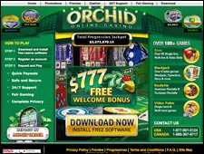 Orchid Casino Review