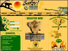 Safari Bingo Review